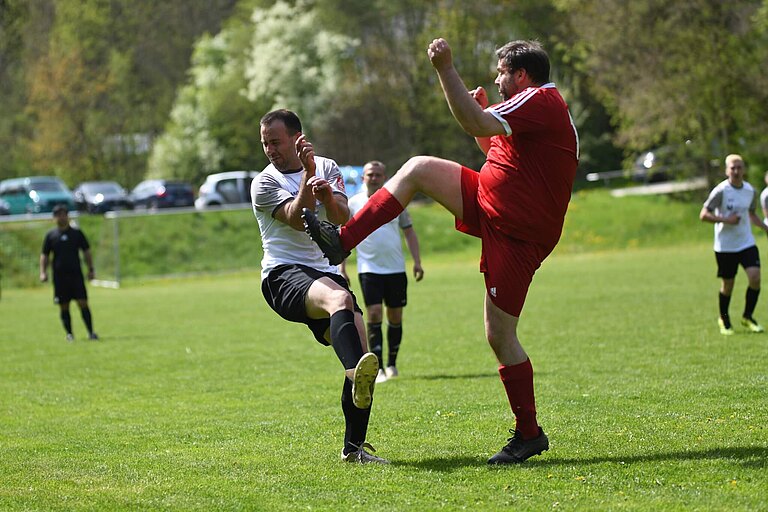 DSC_6536.jpg 